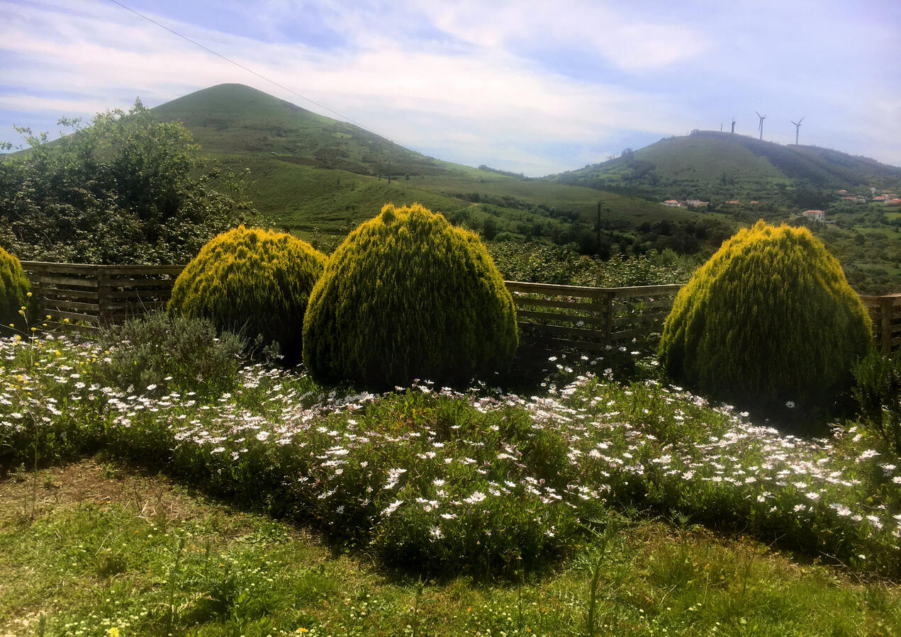 Country Views