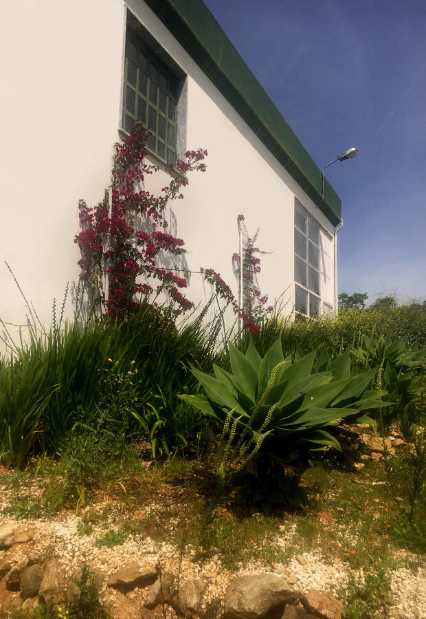 Lisbon North Exterior